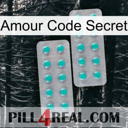 Love Secret Code 29
